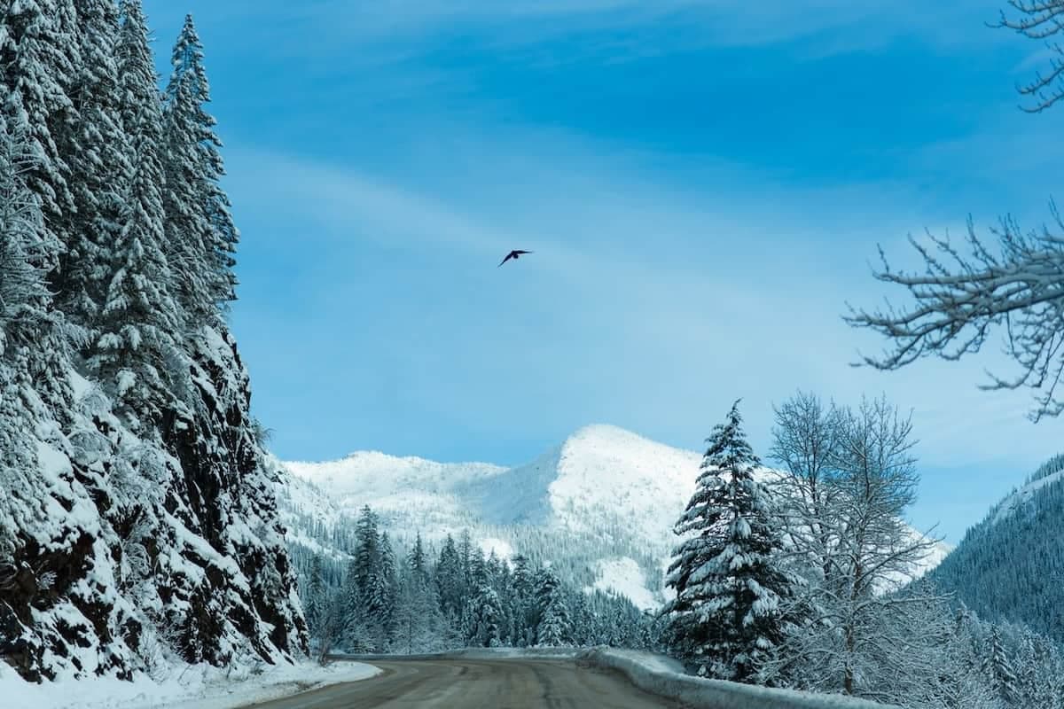 بریتیش کلمبیا اولین استانی است که تخصیص نامزدی PNP خود برای سال ۲۰۲۶ را اعلام کرد